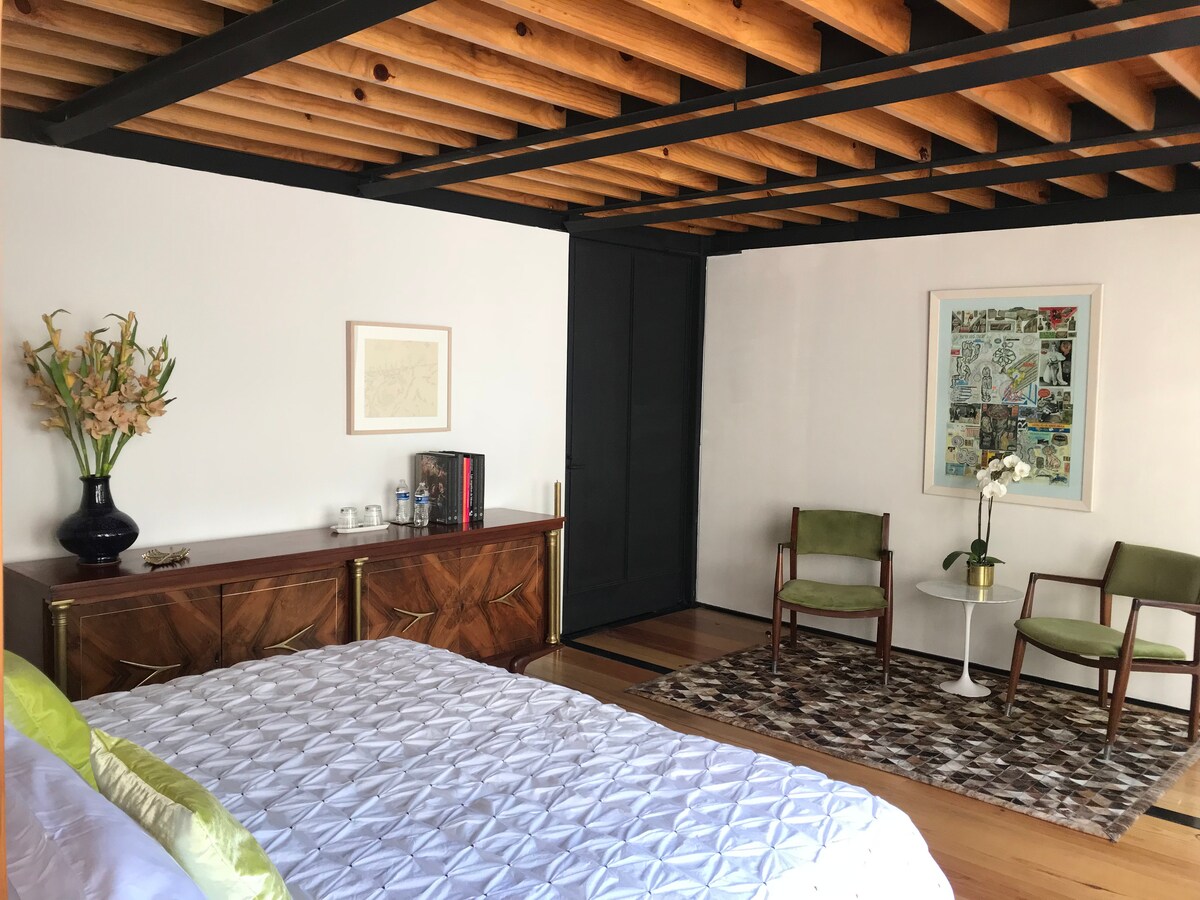 Spacious contemporary room and comfortable terrace