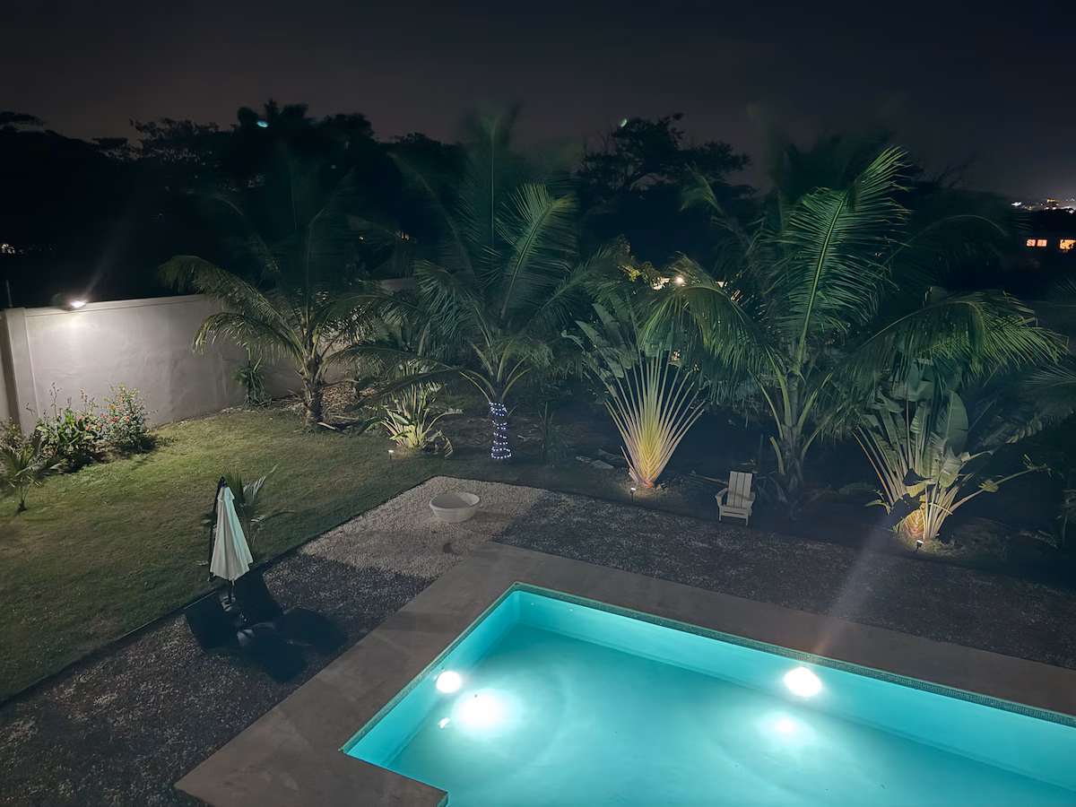 Tropical Paradise!