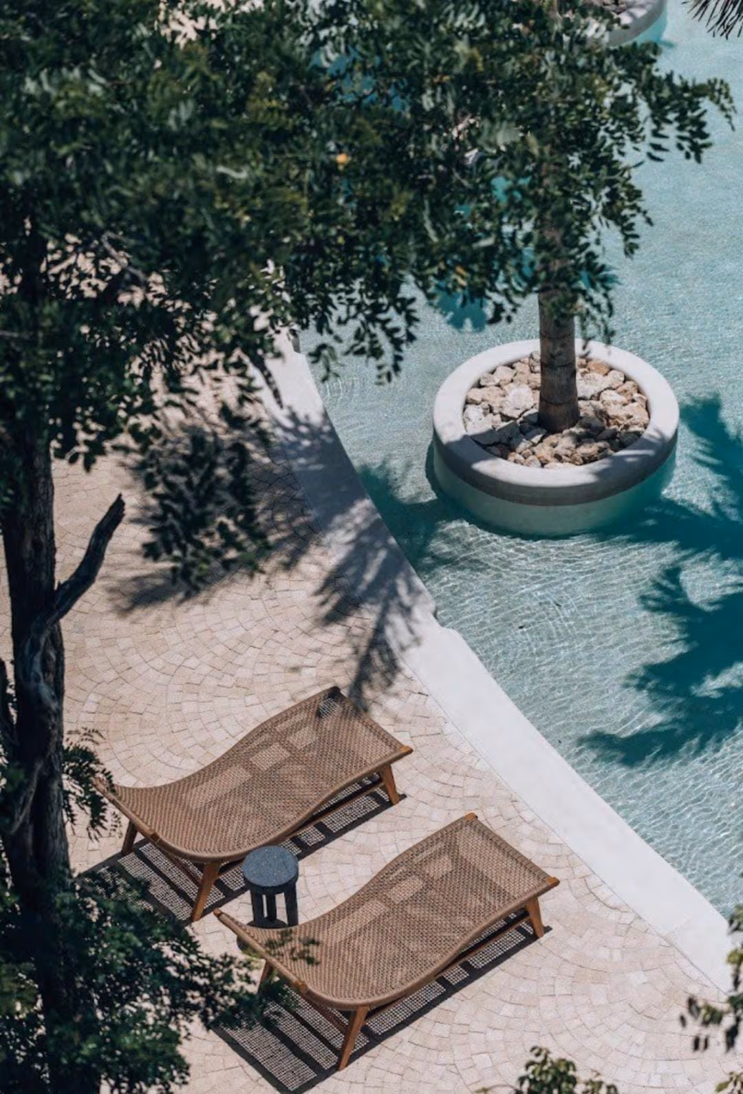 Tropical luxury in a dream apartment