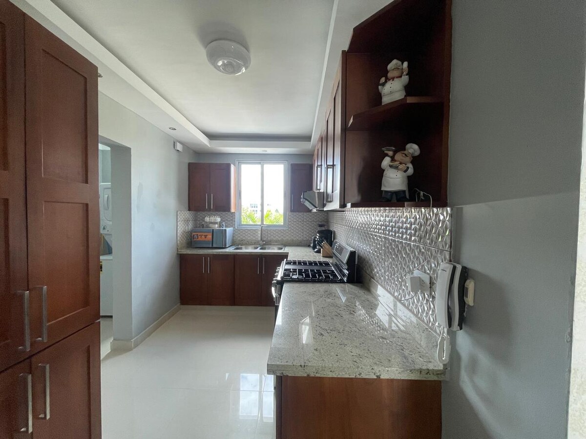 Beautiful luxury penthouse in Santiago