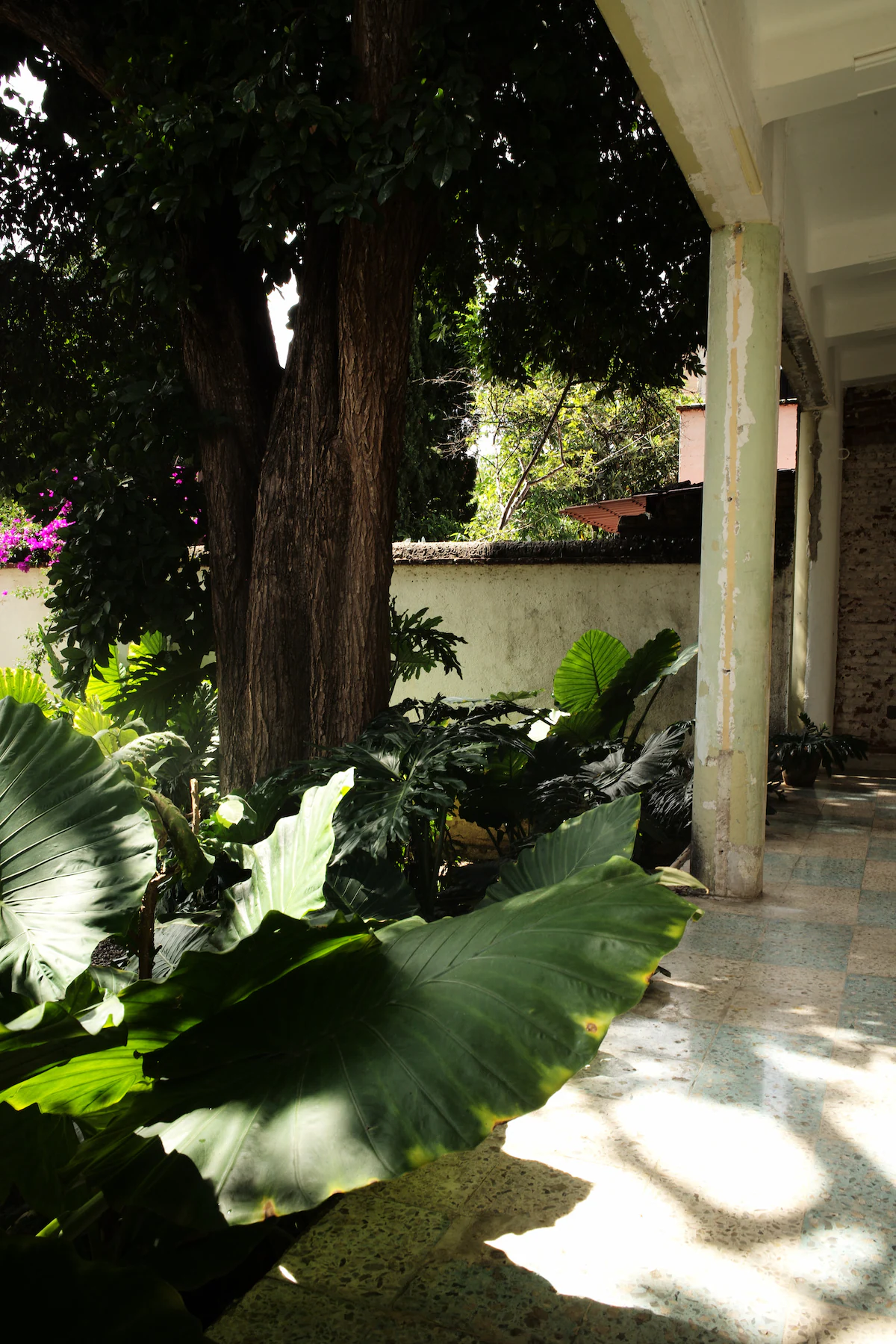 The Garden Room Clinic