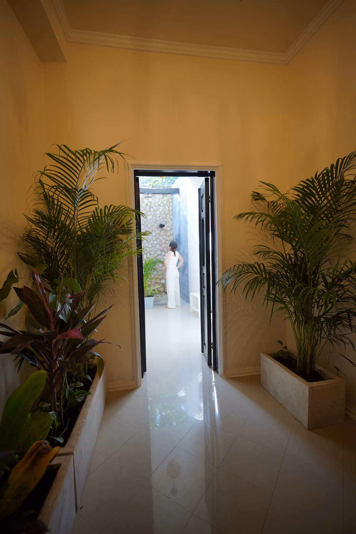Colonial Room + Pool | Central