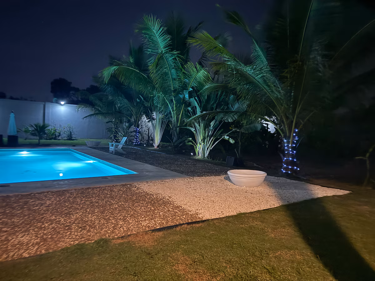 Tropical Paradise!