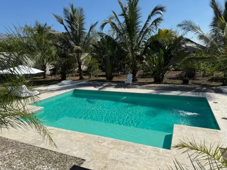 Tropical Paradise!